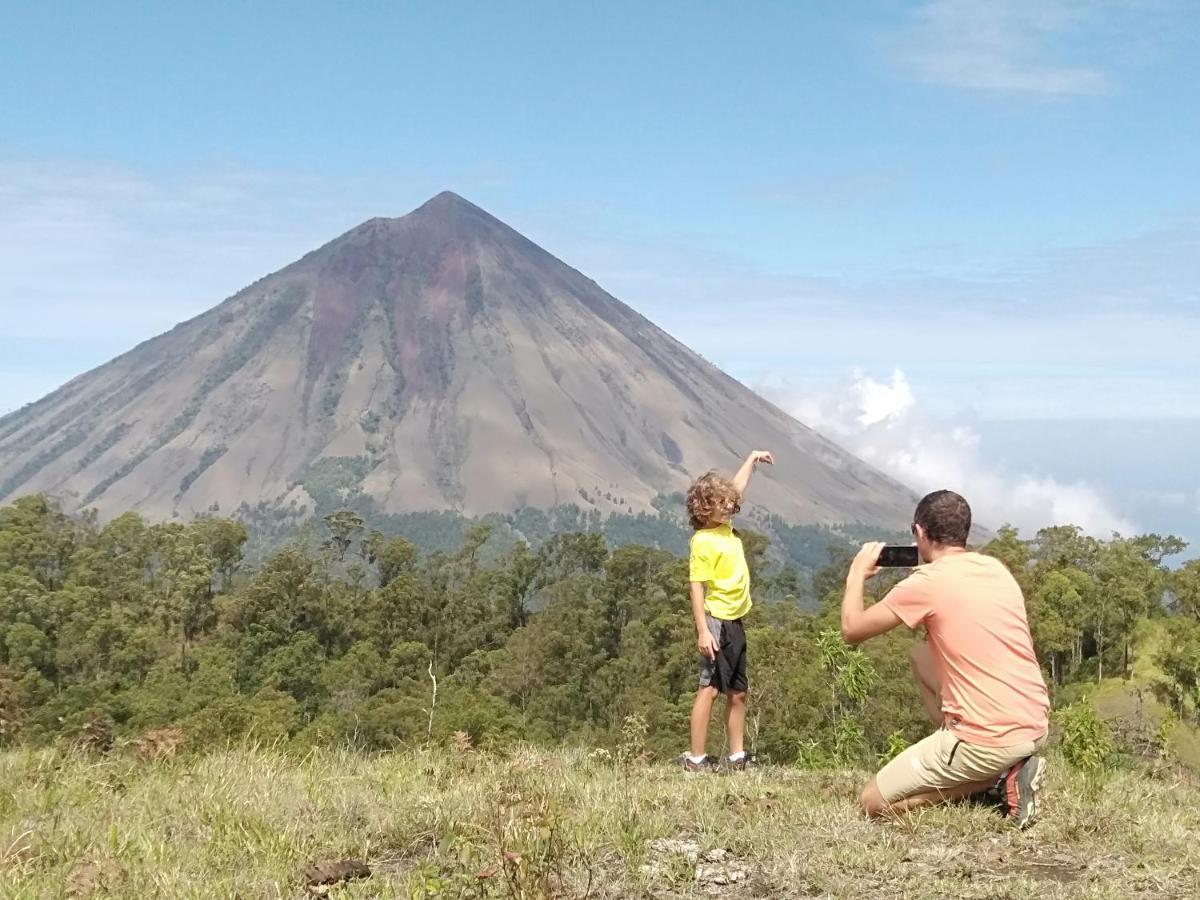 Arnolds Familly Homestay Bajawa Eksteriør billede